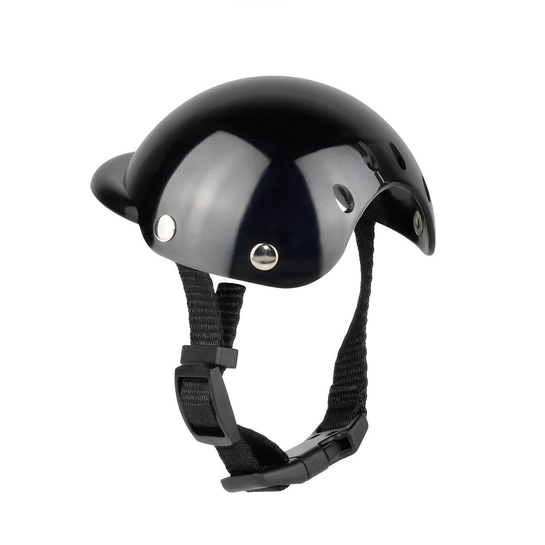 Kask i okulary ochronne dla psów – Modne i bezpieczne