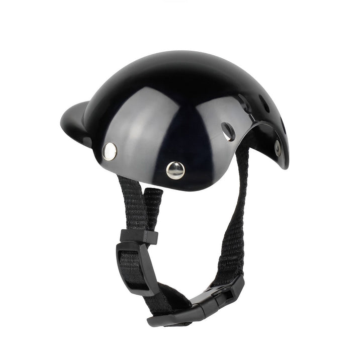 Kask i okulary ochronne dla psów – Modne i bezpieczne
