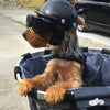 Kask i okulary ochronne dla psów – Modne i bezpieczne