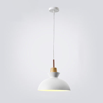 AuroraLite Nordic Lampa wisząca | Design metalowy | 1-punktowa | Nowoczesne opcje kolorystyczne