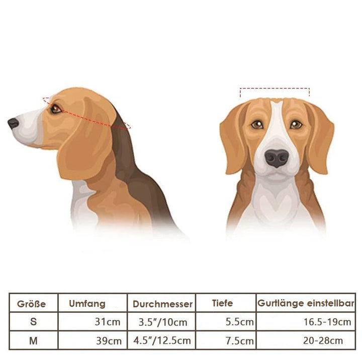 Kask i okulary ochronne dla psów – Modne i bezpieczne