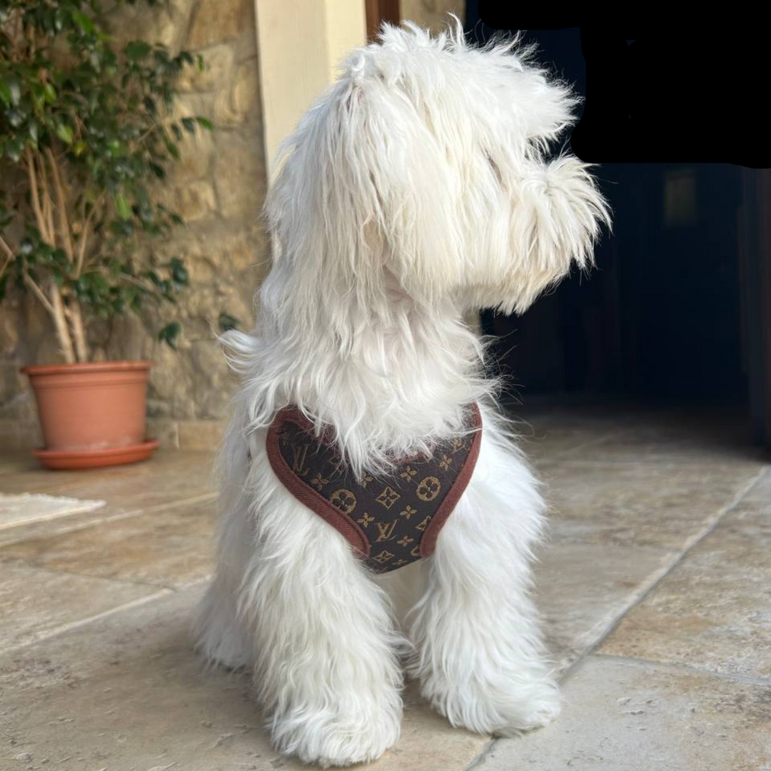 Zestaw Szelek i Smyczy – PawLuxe
