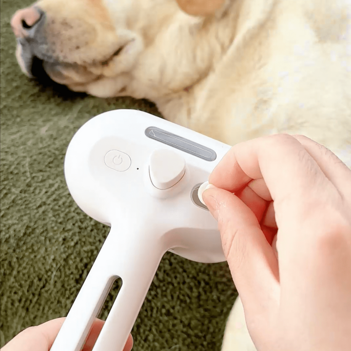 Szczotka parowa BrushPaw dla psów