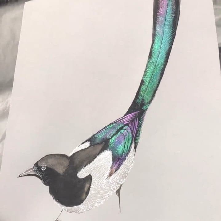 Wielokolorowy zestaw farb akwarelowych - ColorCrafter