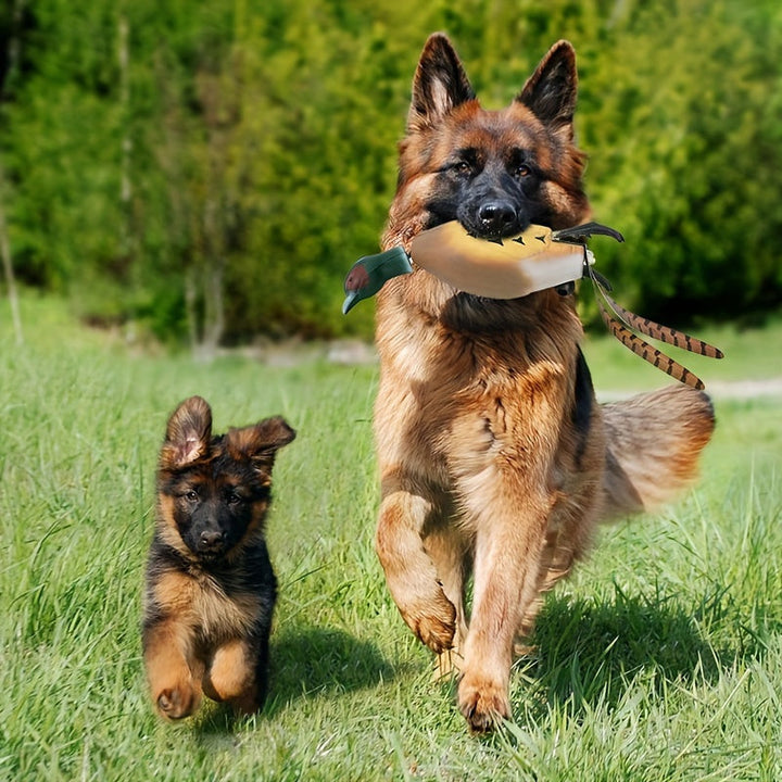 Mallard Retriever – Trwała Plastikowa Zabawka Treningowa w Kształcie Kaczki