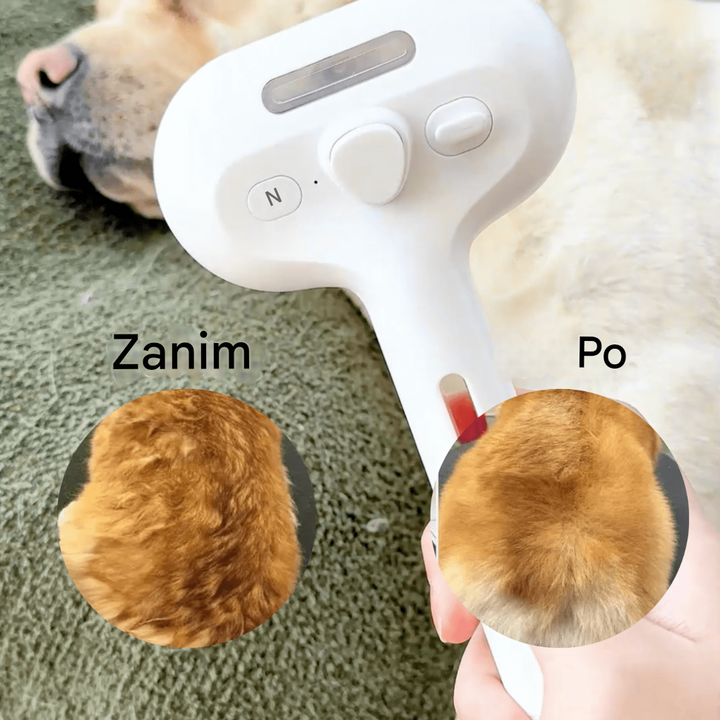 Szczotka parowa BrushPaw dla psów
