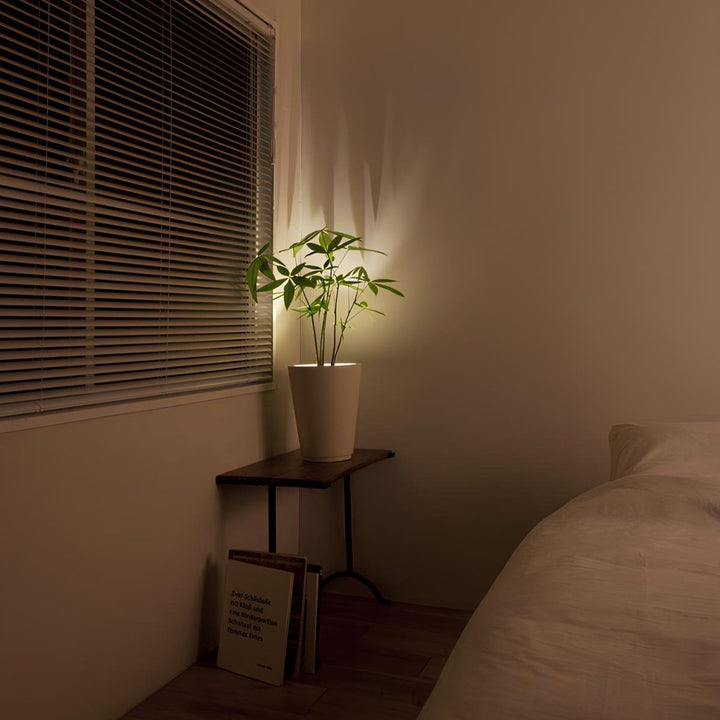 Bezprzewodowy reflektor LED - LumaSpot