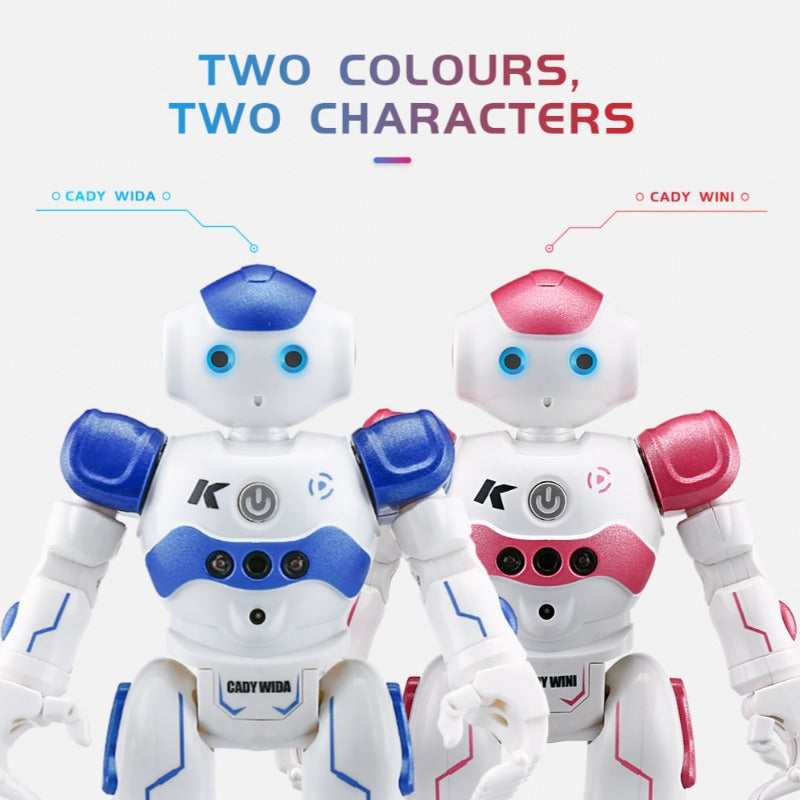 Interaktywny robot edukacyjny - NovaBot