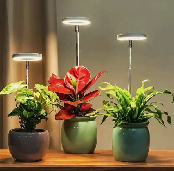 Lampa LED do roślin o pełnym spektrum z timerem i funkcją ściemniania