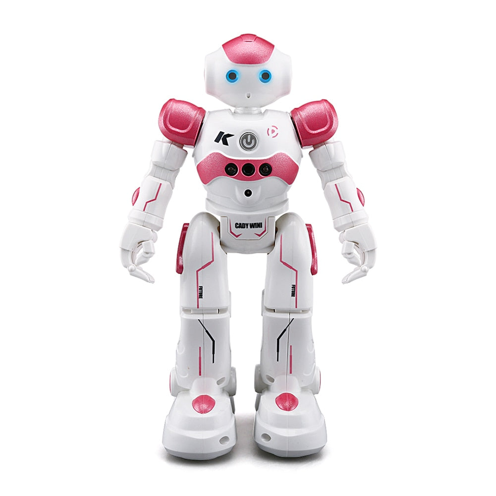 SmartCompanion interaktywny robot | Wielojęzyczna technologia reagująca na gesty dla dzieci i rodzin
