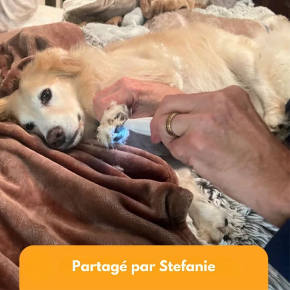 SilentPet Trimmer – Cichy trymer do wrażliwych miejsc u psów i kotów
