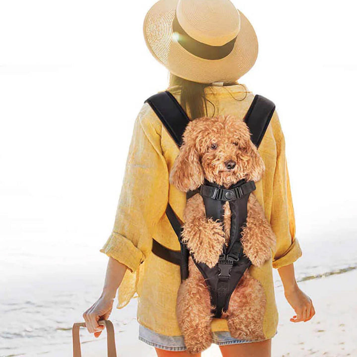 Przenośna torba dla zwierząt domowych - przewiewna i gotowa do podróży