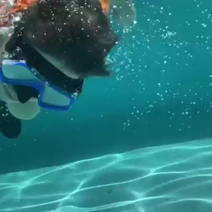 Zestaw do snorkelingu AquaClear – wodoodporny, wygodny i o szerokiej widoczności