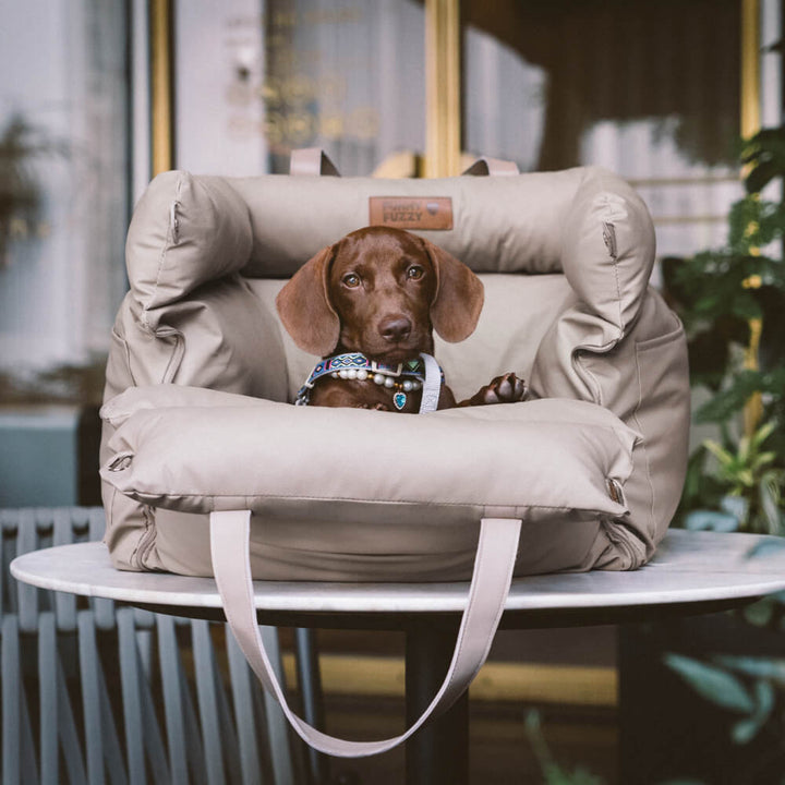 Wygodny zimowy fotelik samochodowy dla psa - PawLuxury