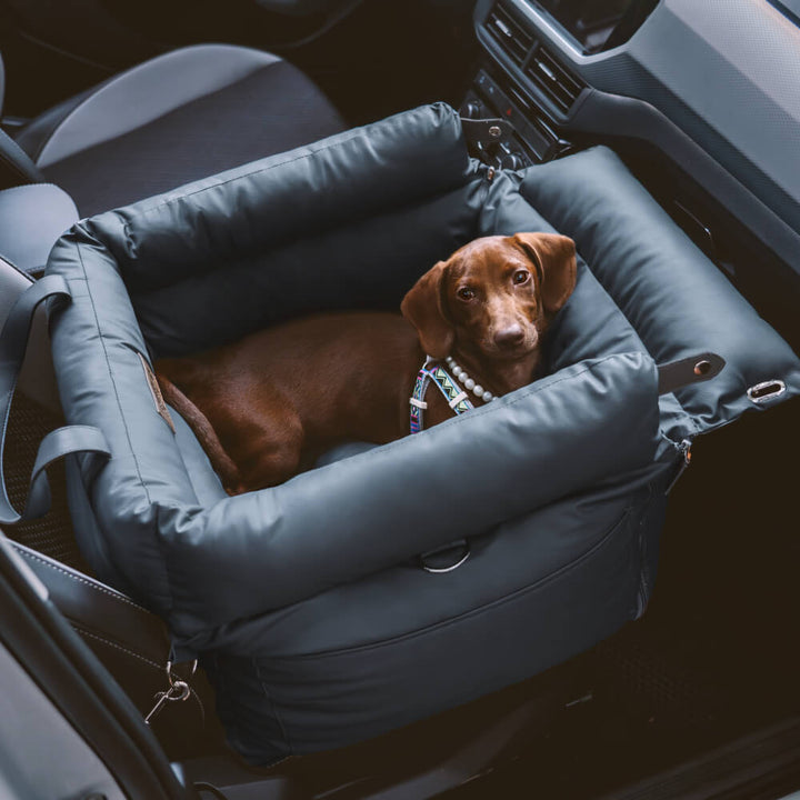 Wygodny zimowy fotelik samochodowy dla psa - PawLuxury