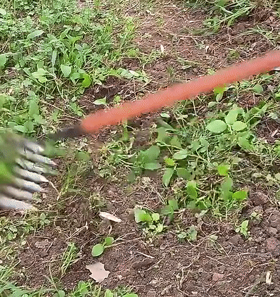 Grabie do Usuwania Chwastów | Wytrzymałe Grabie Ogrodowe | WurzelKraft