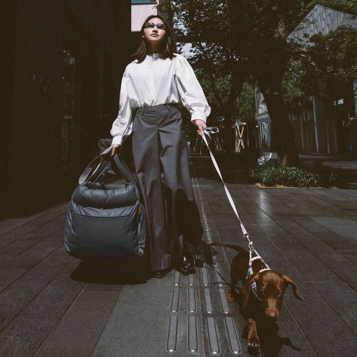 Wygodny zimowy fotelik samochodowy dla psa - PawLuxury