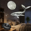 Projektor Galaktyczny z Efektami Planetarium