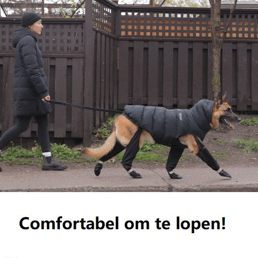 Buty na bezpieczne przygody na świeżym powietrzu – PawShield