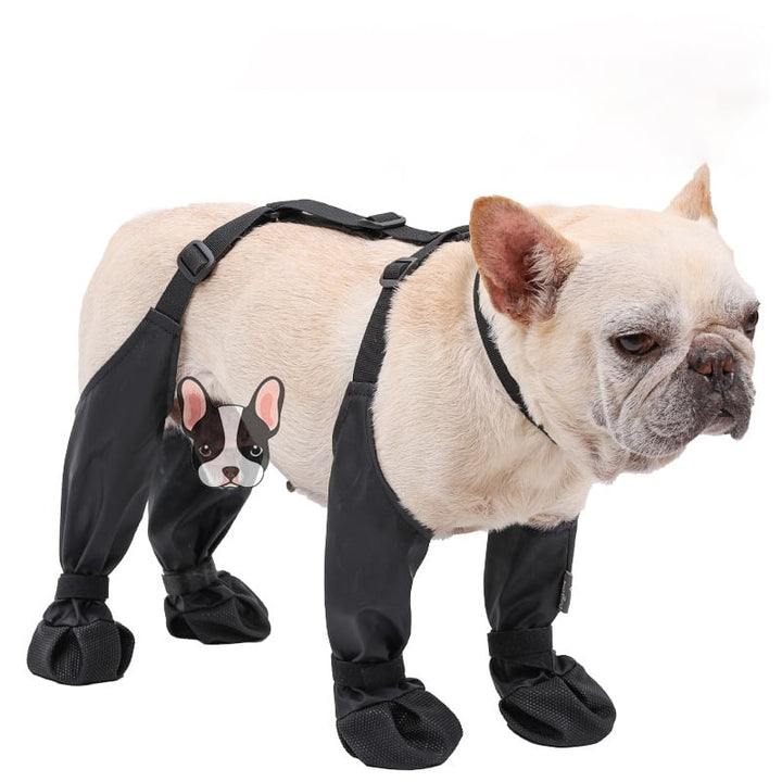 Buty na bezpieczne przygody na świeżym powietrzu – PawShield