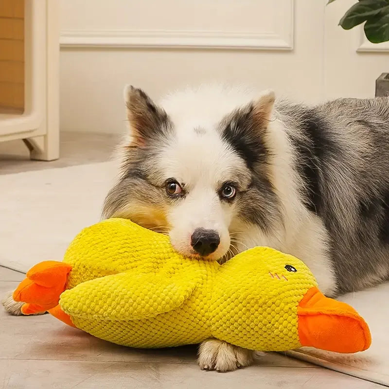Interaktywna zabawka dla psa z dźwiękiem i funkcją dbania o zęby - FlappyDuck