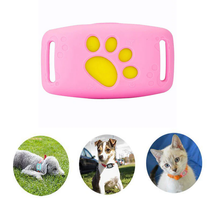 Obroża GPS PetSafe dla zwierząt - śledzenie w czasie rzeczywistym, wodoodporna i bez abonamentu