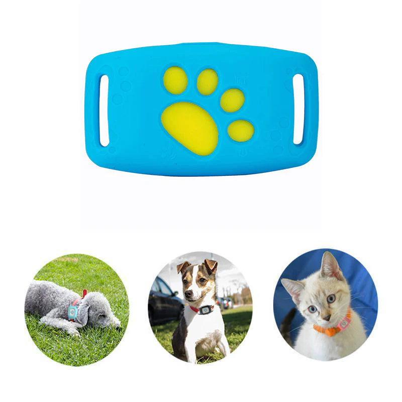 Obroża GPS PetSafe dla zwierząt - śledzenie w czasie rzeczywistym, wodoodporna i bez abonamentu