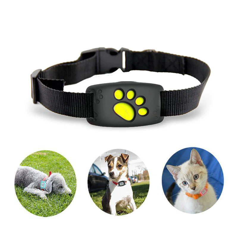 Obroża GPS PetSafe dla zwierząt - śledzenie w czasie rzeczywistym, wodoodporna i bez abonamentu