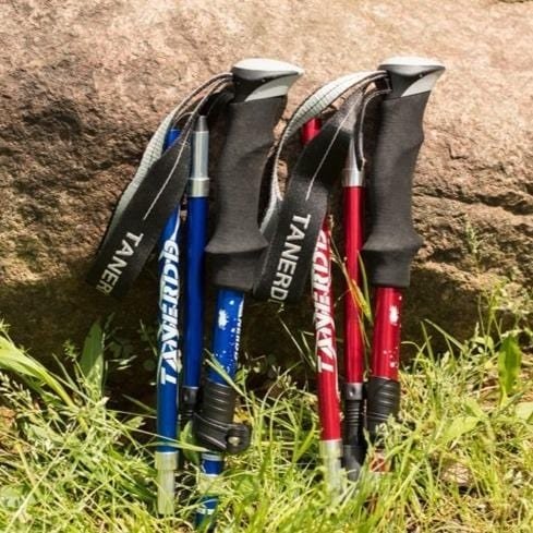 Kijki trekkingowe TrailMaster - regulowana i lekka konstrukcja